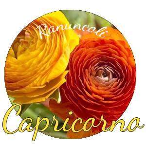 Capricorno