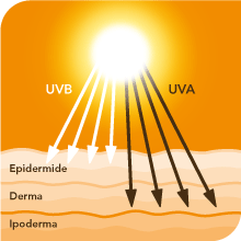 Raggi UVA e UVB